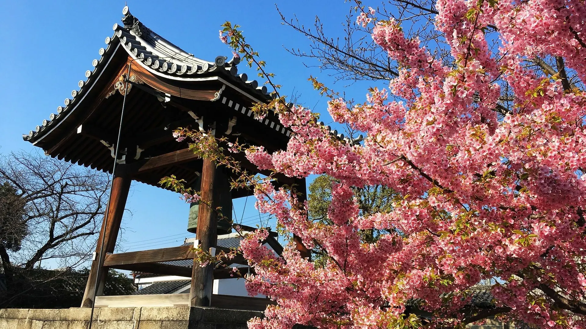 Сasa de vacaciones Stay Sakura Kyoto Toji West I