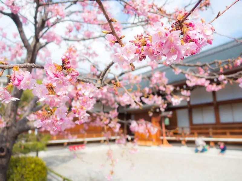 Stay Sakura Kyoto Toji West I 0*,