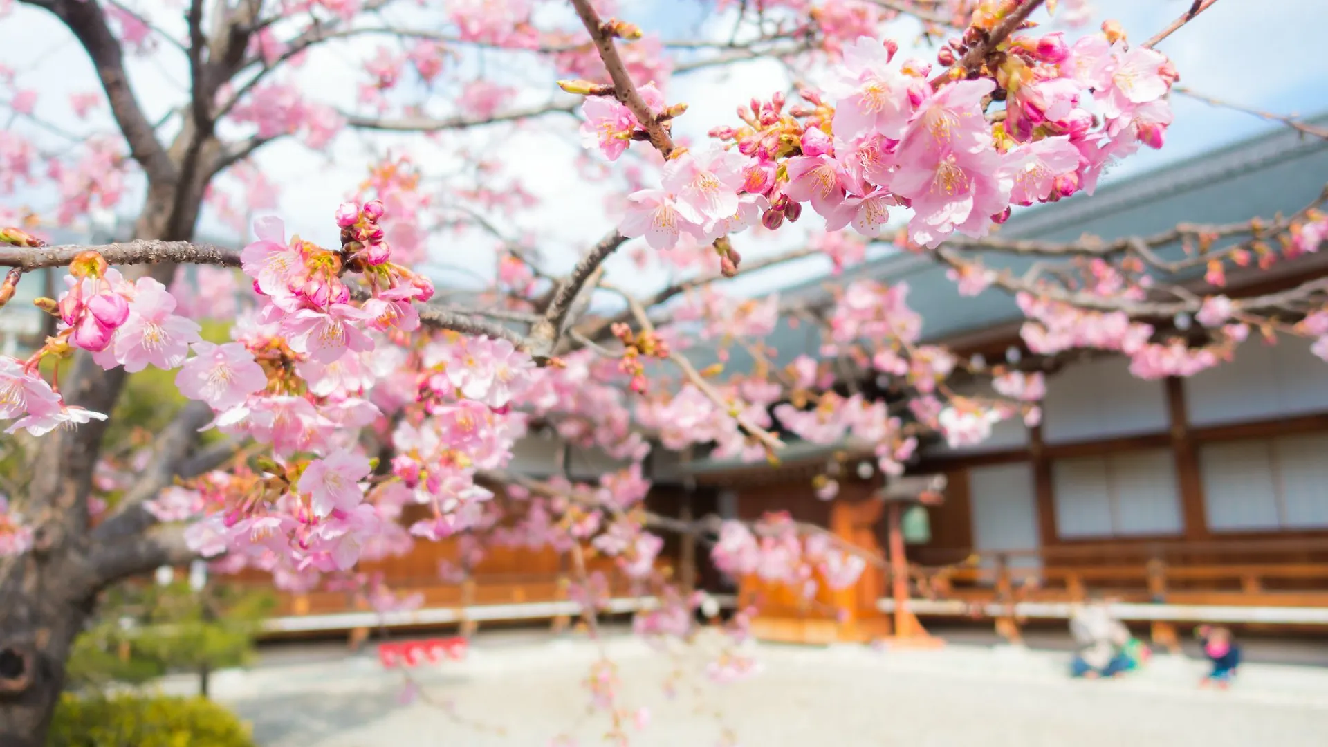 Stay Sakura Kyoto Toji West I